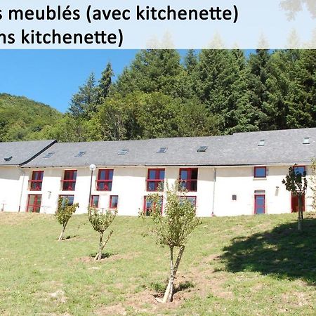 Gite Du Haut Cantal - Appartements Meubles Avec Kitchenette Et Chambres Sans KitchenetteCondat  エクステリア 写真