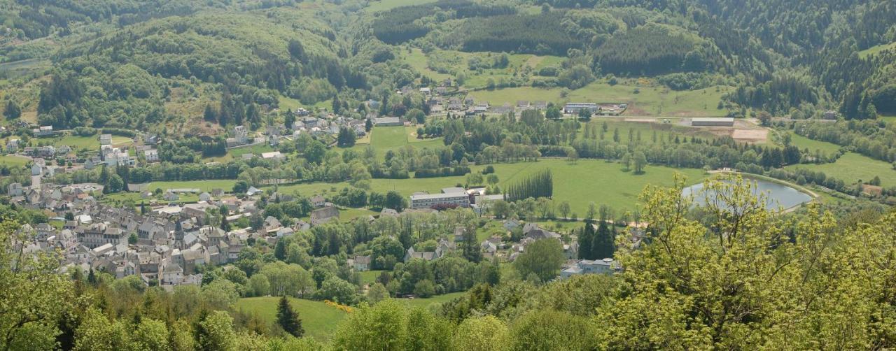 Gite Du Haut Cantal - Appartements Meubles Avec Kitchenette Et Chambres Sans KitchenetteCondat  エクステリア 写真