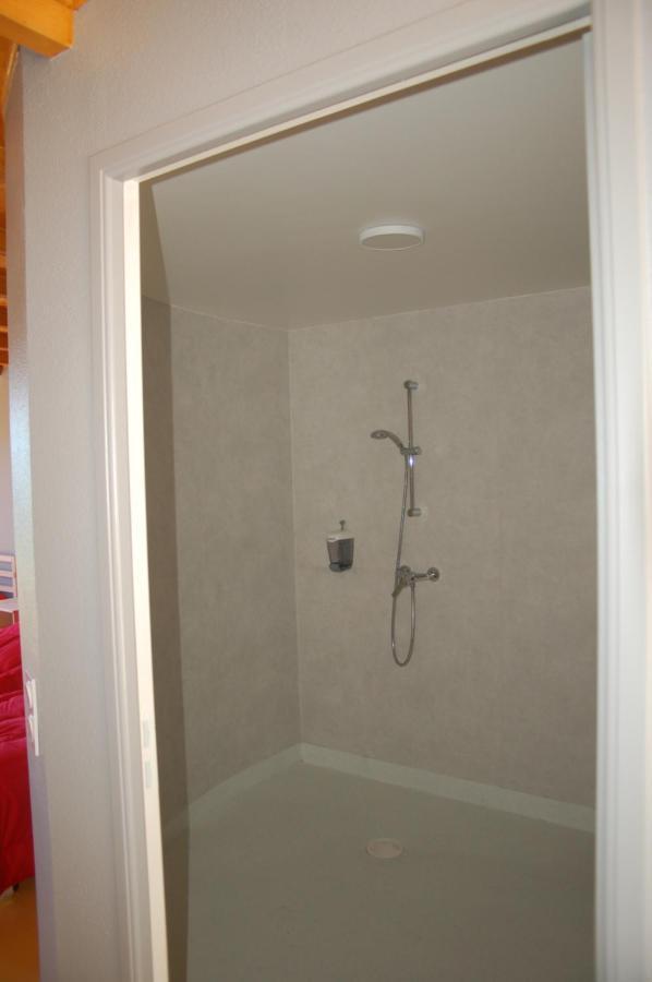 Gite Du Haut Cantal - Appartements Meubles Avec Kitchenette Et Chambres Sans KitchenetteCondat  エクステリア 写真