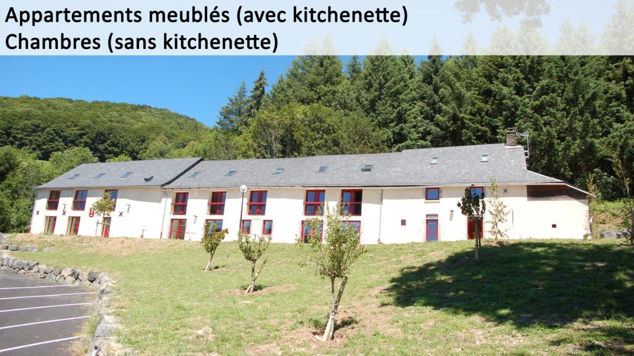 Gite Du Haut Cantal - Appartements Meubles Avec Kitchenette Et Chambres Sans KitchenetteCondat  エクステリア 写真